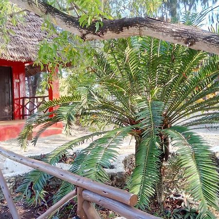 Twisted Palms Lodge & Restaurant Bwejuu Esterno foto