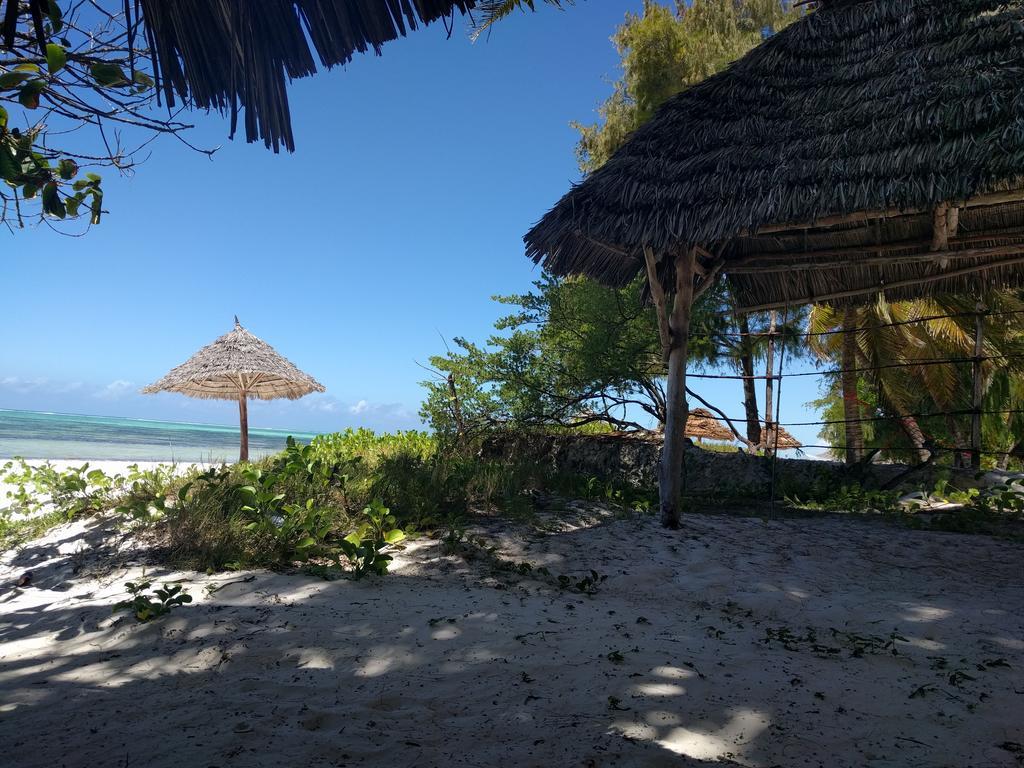 Twisted Palms Lodge & Restaurant Bwejuu Esterno foto