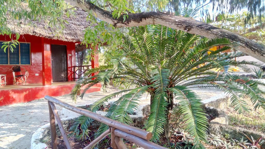 Twisted Palms Lodge & Restaurant Bwejuu Esterno foto