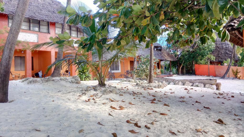 Twisted Palms Lodge & Restaurant Bwejuu Esterno foto