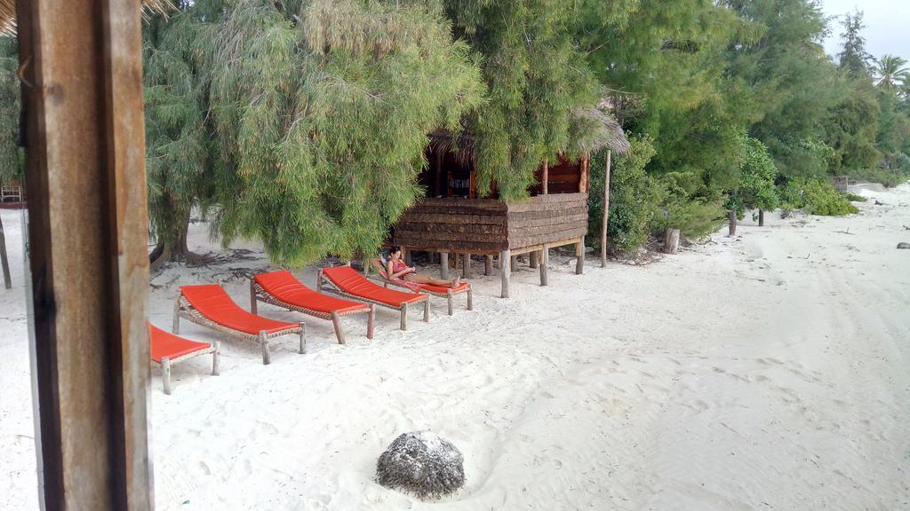 Twisted Palms Lodge & Restaurant Bwejuu Esterno foto